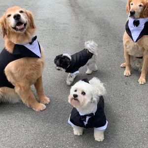 Meet your Posher, Eva yiwei